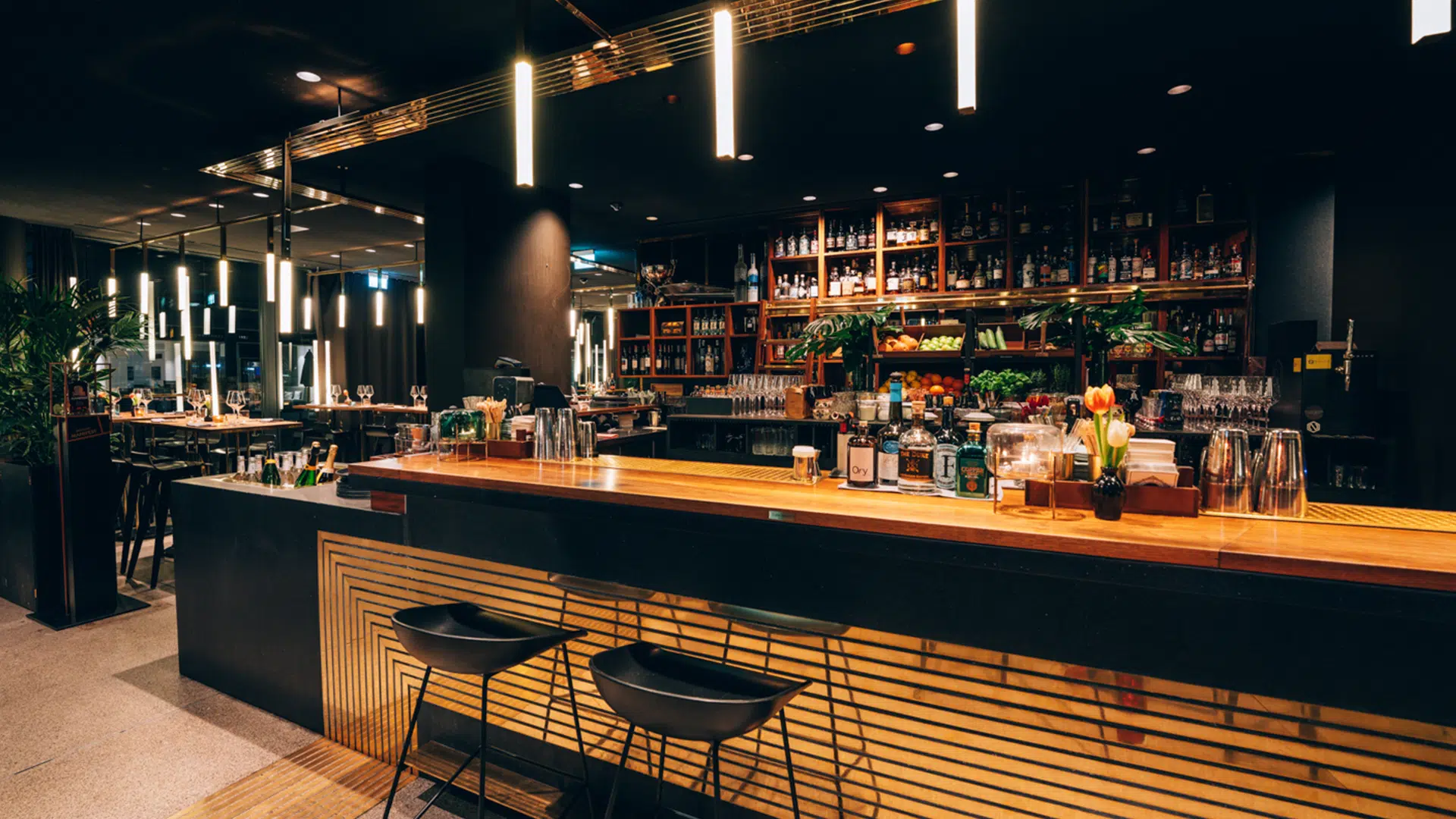 Herzog Bar